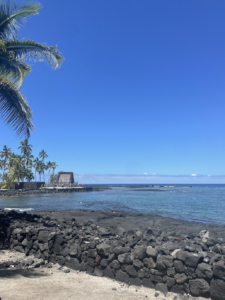 View of the park from the beach...black rocks in foreground, water, and shelter in the back